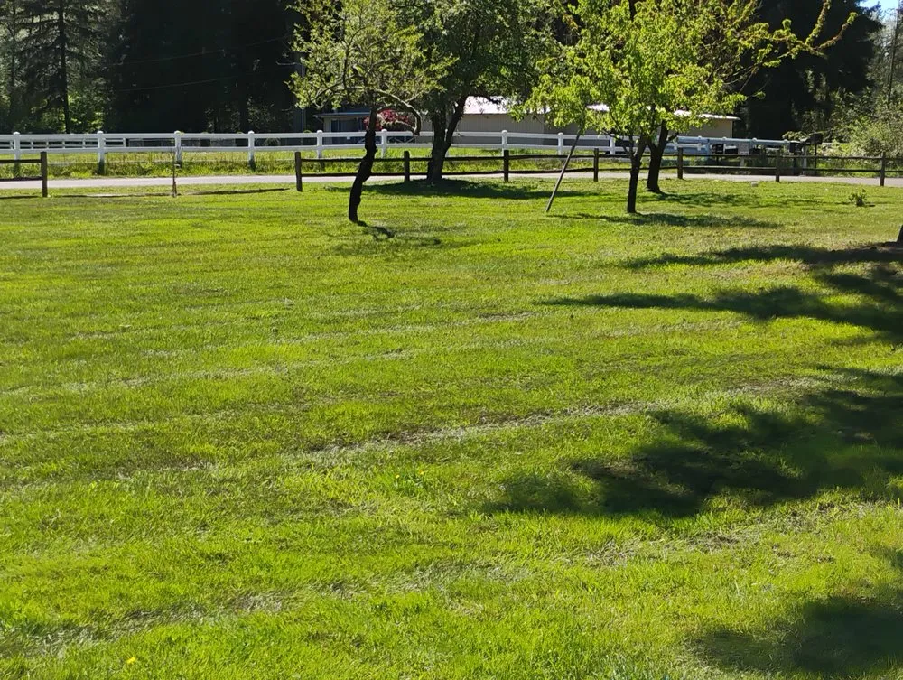 Custom landscaping services in Yelm, WA by McClary's Lawnscapes