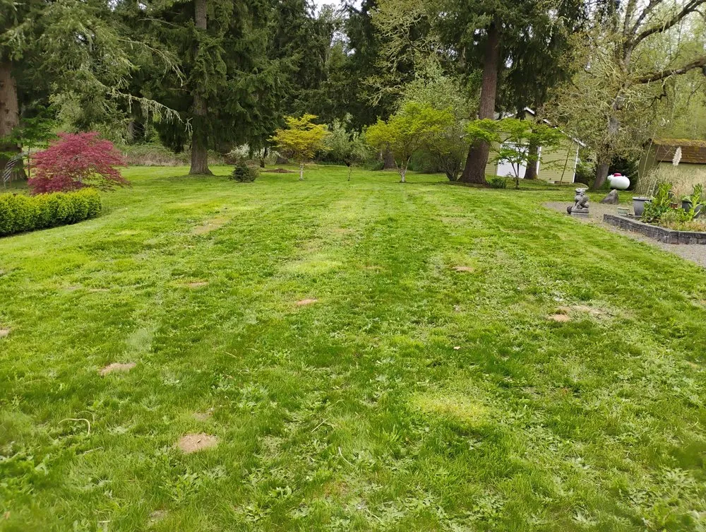 Reliable outdoor landscaping experts serving Yelm, WA - McClary's Lawnscapes