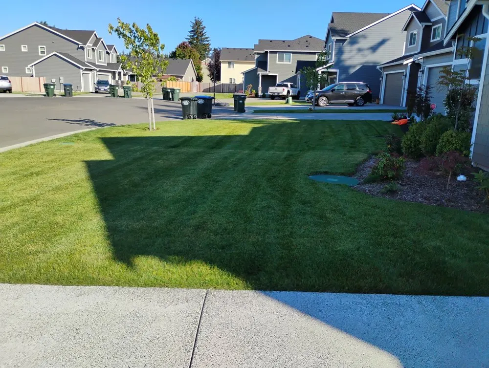 Top-rated yard maintenance for homes in Yelm, WA by McClary's Lawnscapes