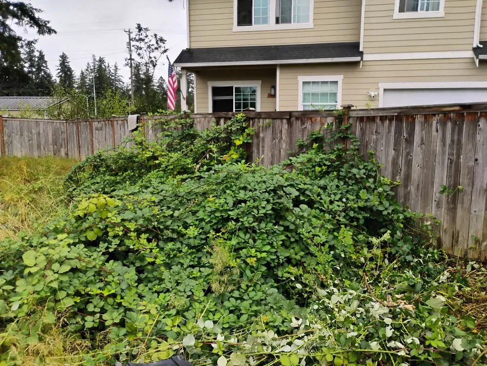 Local landscaping services for homes across Yelm, WA - McClary's Lawnscapes