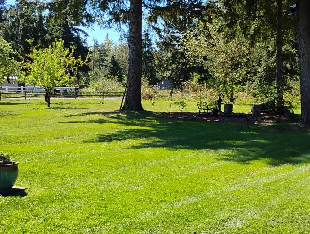 Top-rated landscape design in Yelm, WA - McClary's Lawnscapes