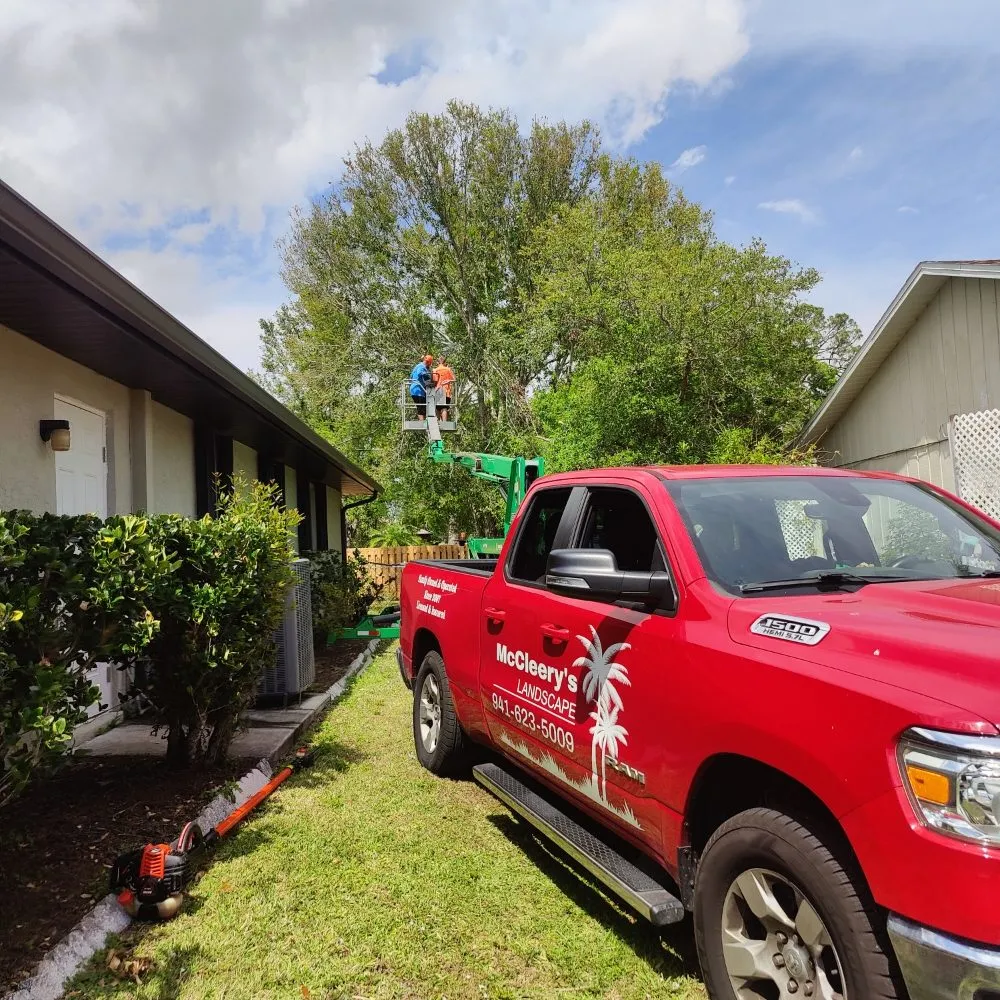 Affordable yard cleanup service for homes across Port Charlotte, FL - Mccleery's Landscape