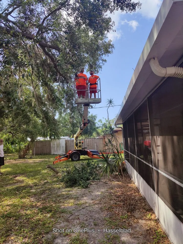 Expert landscape design for residential properties in Port Charlotte, FL by Mccleery's Landscape