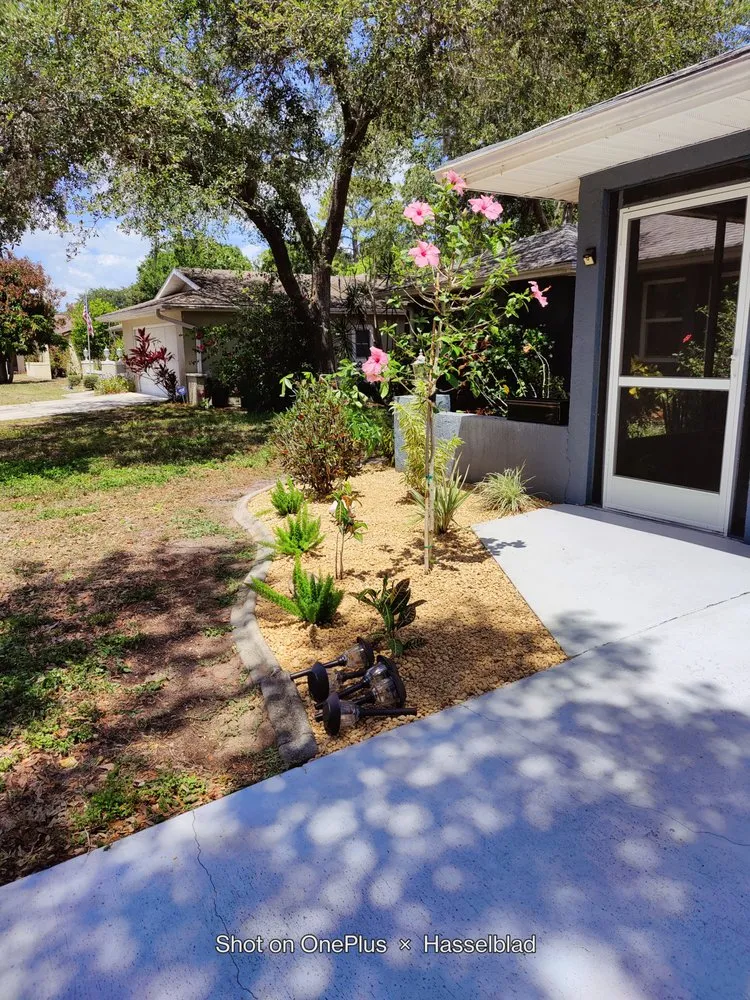 Custom yard maintenance experts serving Port Charlotte, FL - Mccleery's Landscape