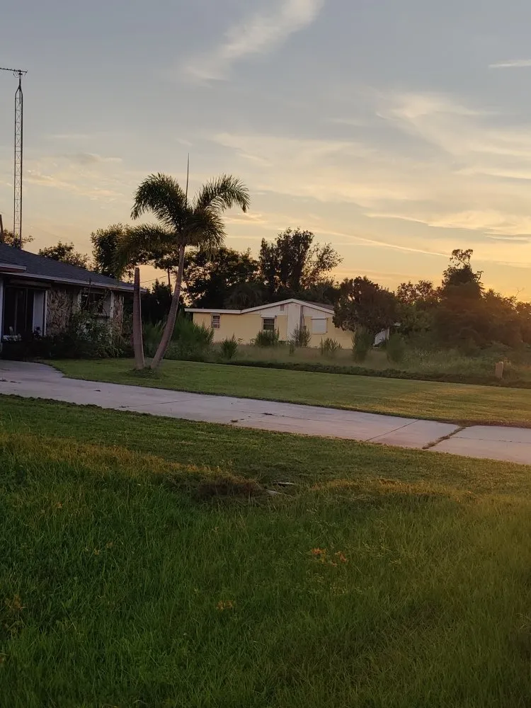 Top-rated yard cleanup service experts serving Port Charlotte, FL - Mccleery's Landscape