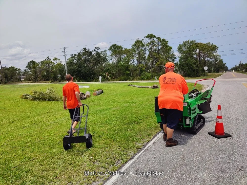 Affordable lawn care service experts serving Port Charlotte, FL - Mccleery's Landscape