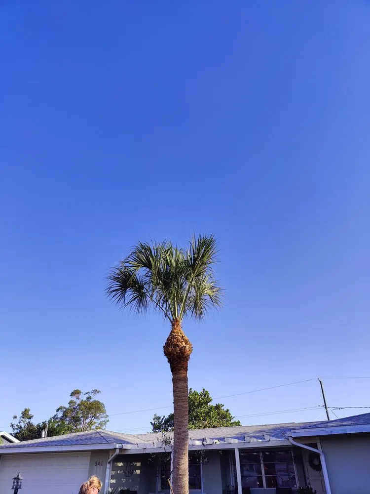 Top-rated residential landscaping near you in Port Charlotte, FL by Mccleery's Landscape