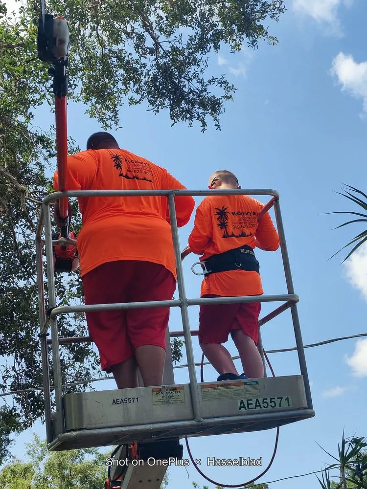 Trusted outdoor landscaping in Port Charlotte, FL - Mccleery's Landscape