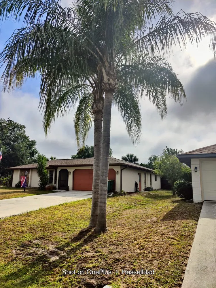 Trusted yard cleanup service in Port Charlotte, FL by Mccleery's Landscape