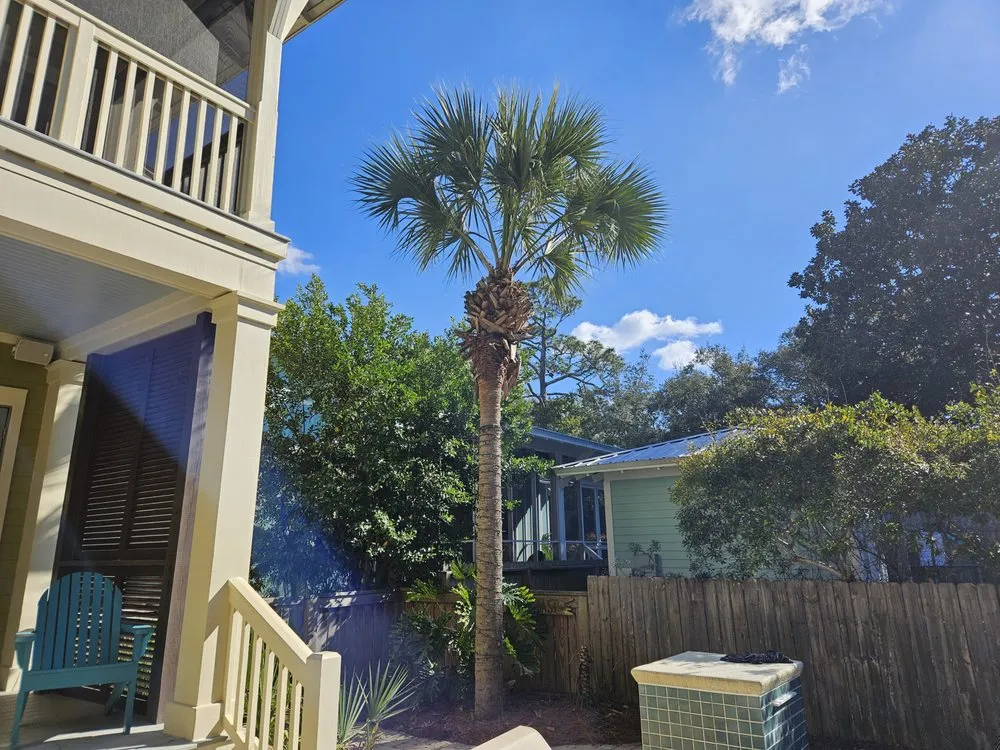Custom outdoor landscaping for year-round maintenance in Ponce de Leon, FL by Mcclendon Outdoor Services