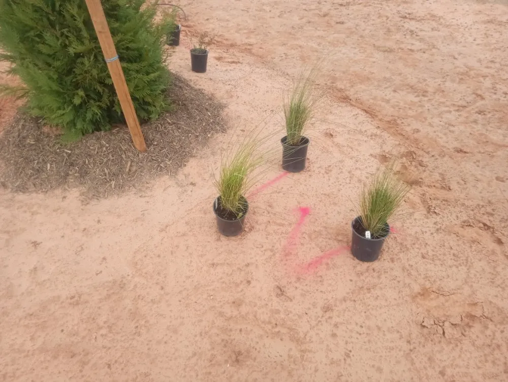 Top-rated lawn care service for outdoor upgrades across Wichita Falls, TX - McClendons Tree & Lawn Care Services