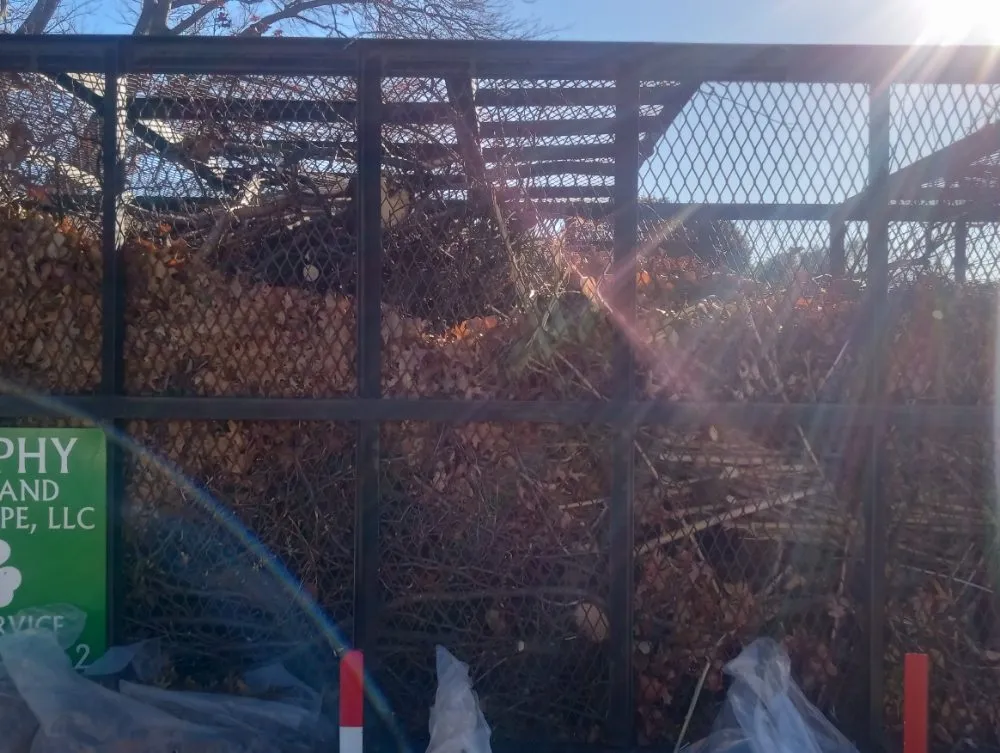 Local lawn mowing service in Wichita Falls, TX - McClendons Tree & Lawn Care Services