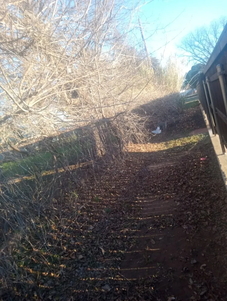 Expert yard cleanup service experts serving Wichita Falls, TX - McClendons Tree & Lawn Care Services