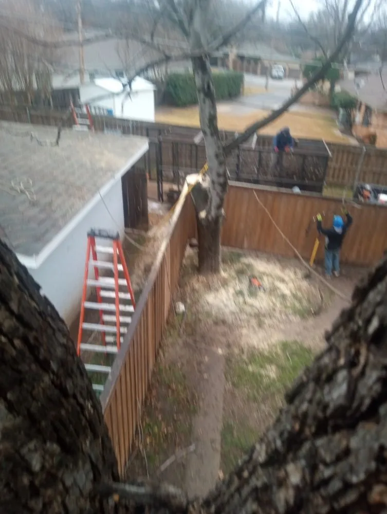 Professional residential landscaping with custom design across Wichita Falls, TX - McClendons Tree & Lawn Care Services