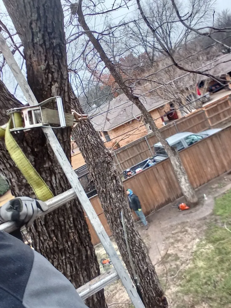 Expert landscape installation in Wichita Falls, TX by McClendons Tree & Lawn Care Services