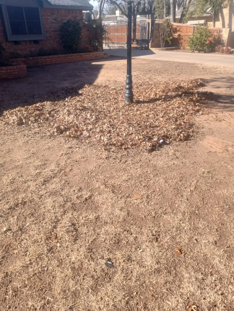 Affordable garden landscaping near you across Wichita Falls, TX - McClendons Tree & Lawn Care Services