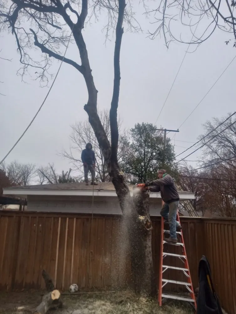 Custom lawn mowing service with custom design in Wichita Falls, TX by McClendons Tree & Lawn Care Services