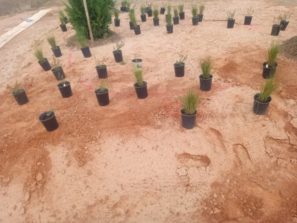 Affordable garden landscaping for beautiful yards across Wichita Falls, TX - McClendons Tree & Lawn Care Services