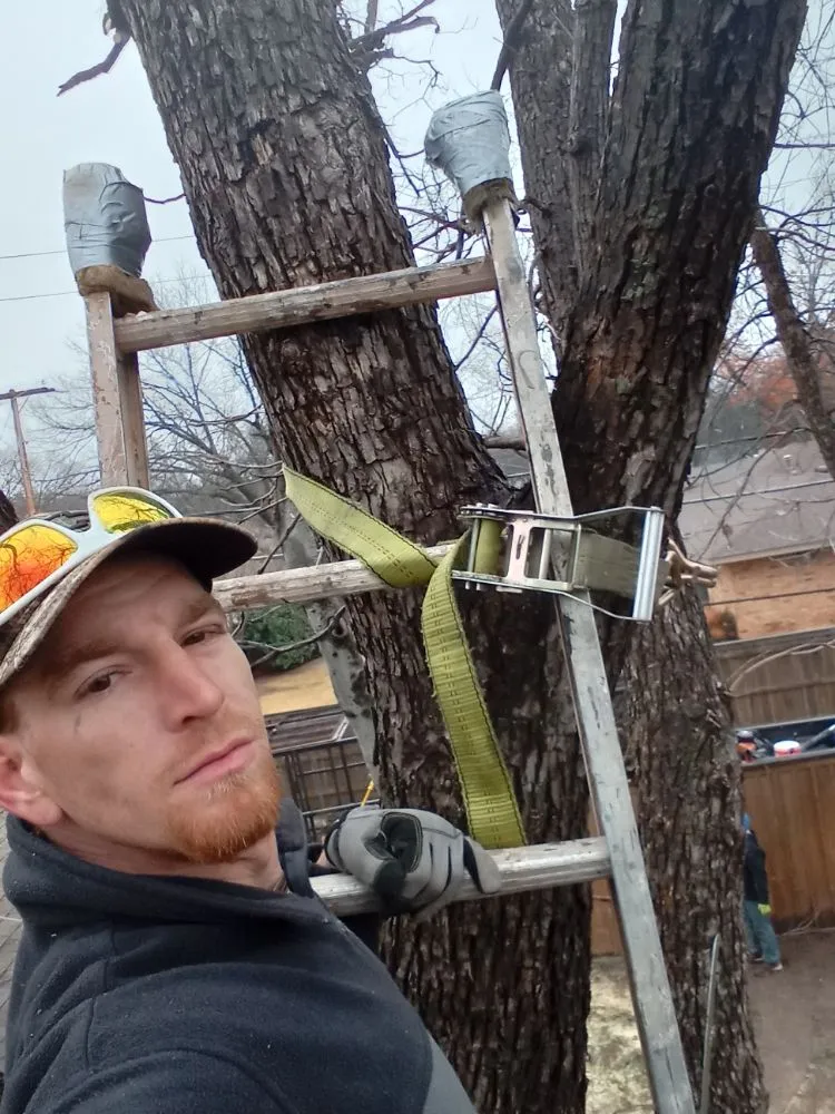 Reliable landscape design in Wichita Falls, TX by McClendons Tree & Lawn Care Services