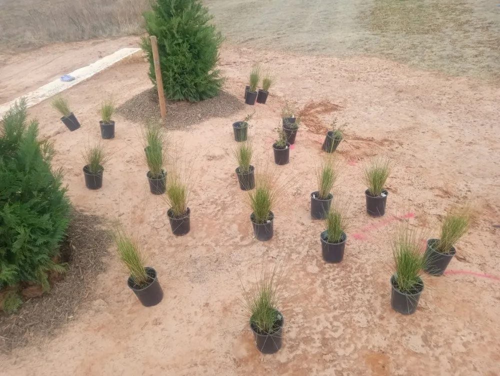 Expert yard cleanup service for year-round maintenance across Wichita Falls, TX - McClendons Tree & Lawn Care Services