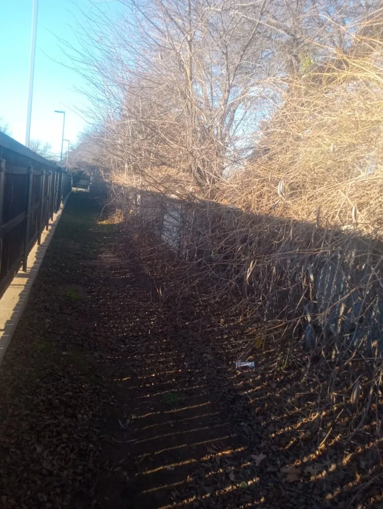 Local residential landscaping in Wichita Falls, TX by McClendons Tree & Lawn Care Services