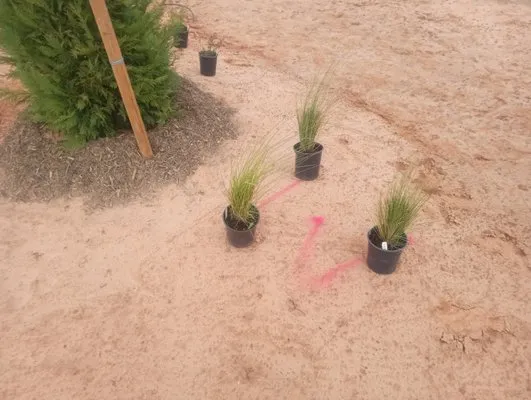 McClendons Tree & Lawn Care Services Logo