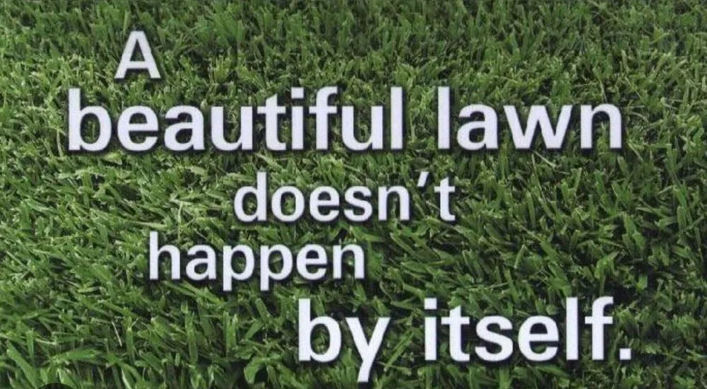 Custom yard cleanup service in Spartanburg, SC by Mcclintock Lawn Care