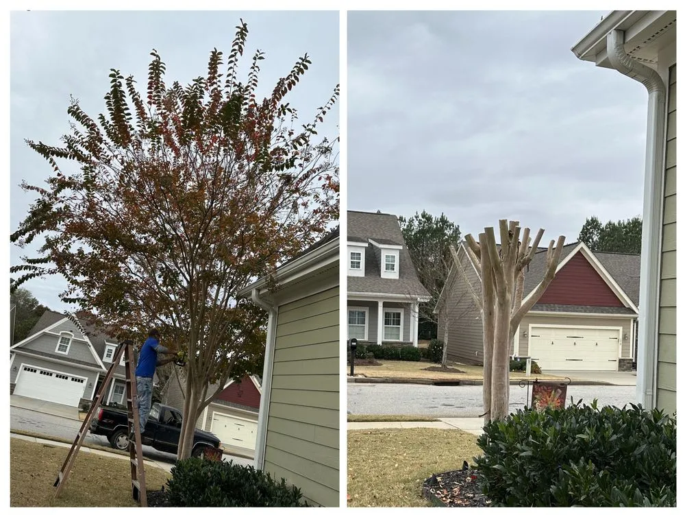 Affordable lawn mowing service for beautiful yards in Spartanburg, SC by Mcclintock Lawn Care