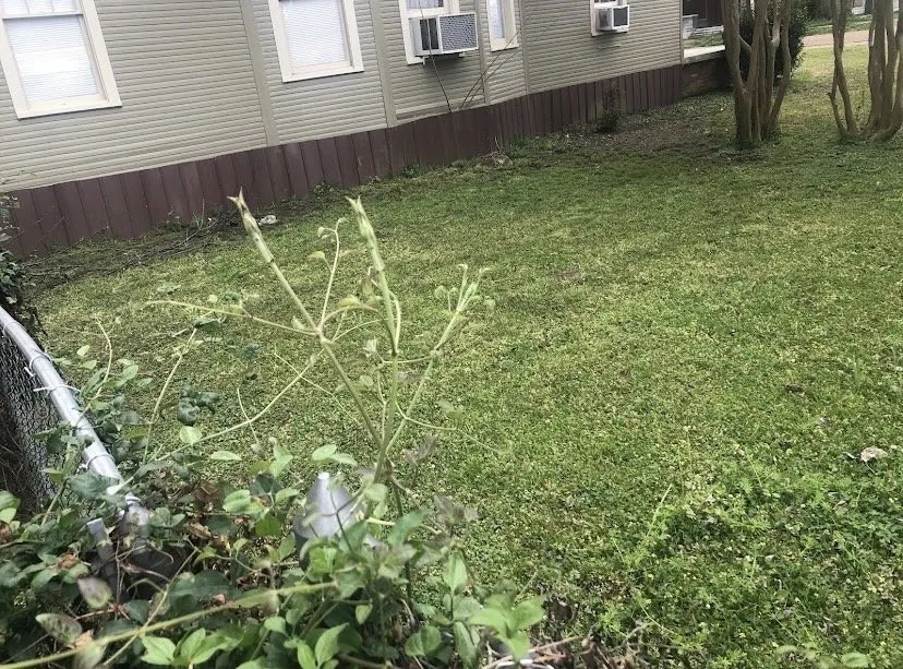Expert yard maintenance in Belzoni, MS - Mcclinton Lawncare services