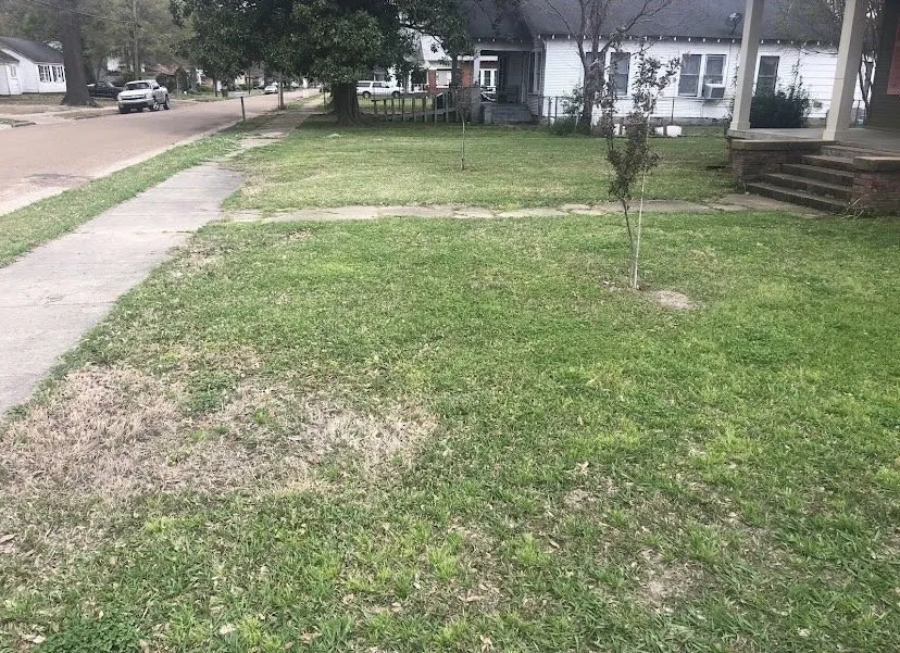 Trusted landscaping services for outdoor upgrades across Belzoni, MS - Mcclinton Lawncare services