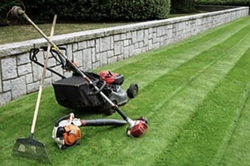 Local yard maintenance experts serving Belzoni, MS - Mcclinton Lawncare services