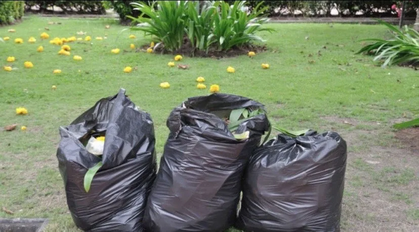 Professional landscaping services in Belzoni, MS - Mcclinton Lawncare services