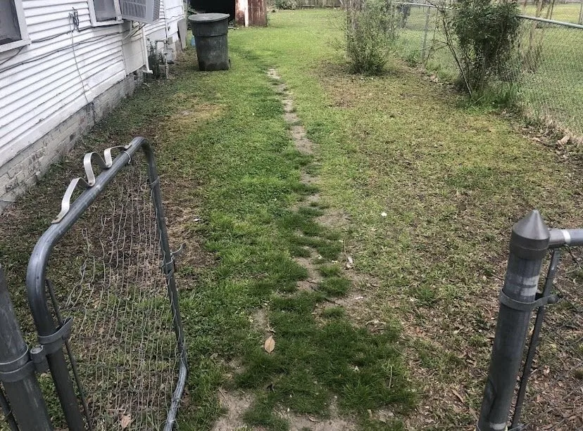 Reliable lawn mowing service near you in Belzoni, MS by Mcclinton Lawncare services