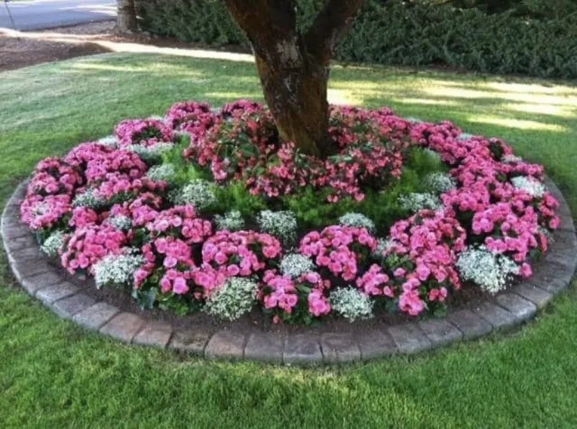 Affordable outdoor landscaping in Belzoni, MS by Mcclinton Lawncare services