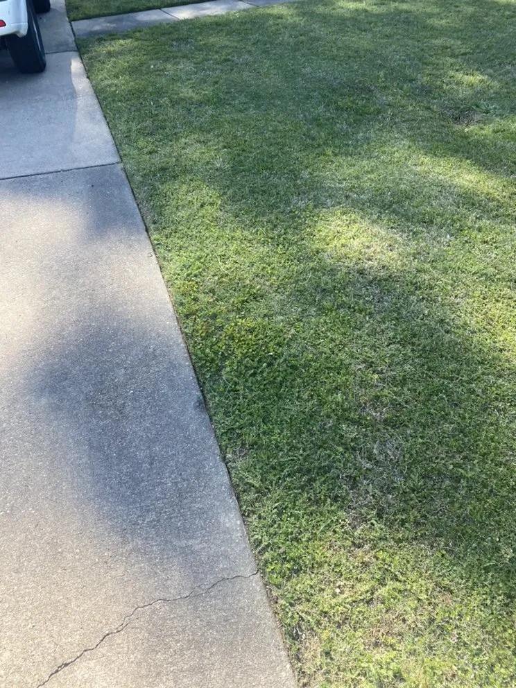 Professional lawn mowing service for beautiful yards across Montgomery, AL - Mccloud lawn care & home repair