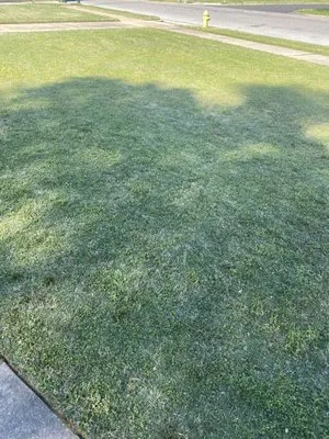 Mccloud lawn care & home repair Logo