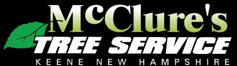 Trusted lawn mowing service near you across Keene, NH - McClure's Tree Service