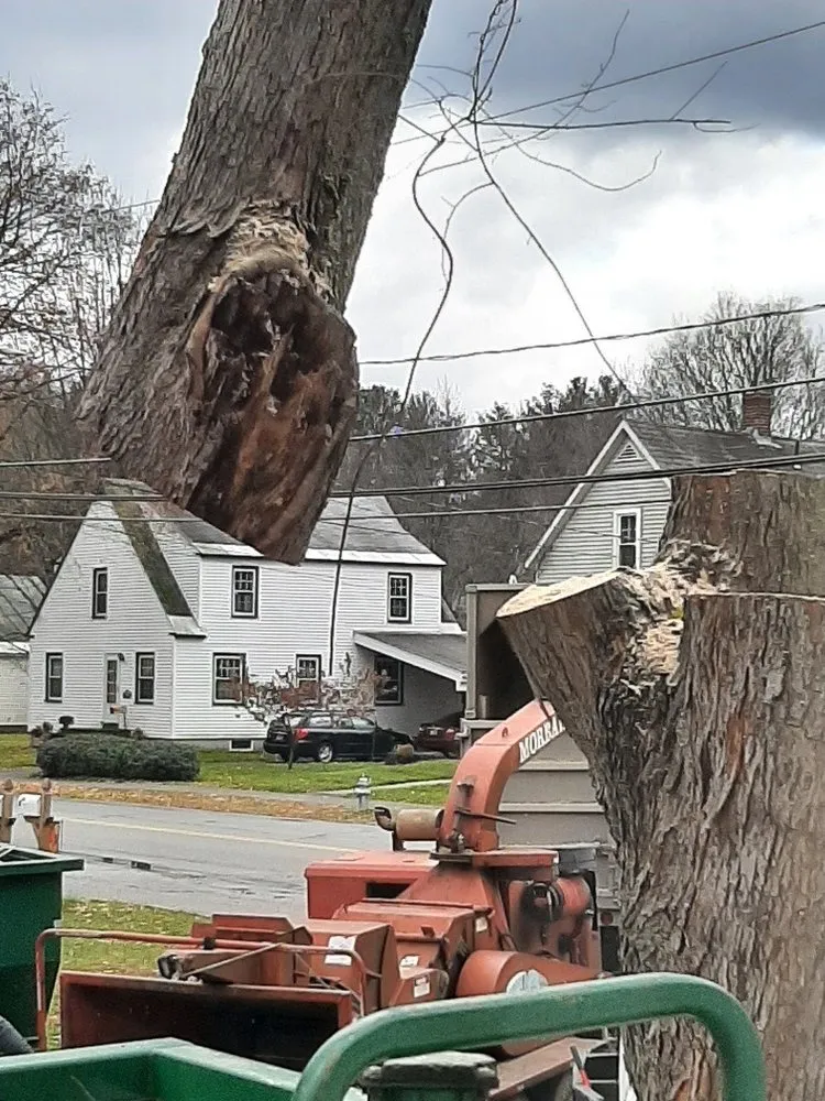 Local landscape installation experts serving Keene, NH - McClure's Tree Service