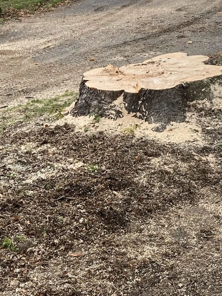 Professional lawn mowing service for year-round maintenance in Keene, NH by McClure's Tree Service