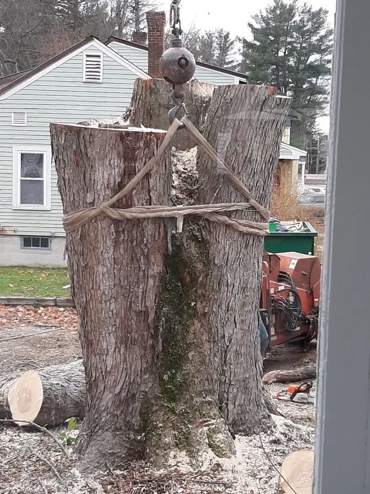 Custom landscape design for year-round maintenance across Keene, NH - McClure's Tree Service