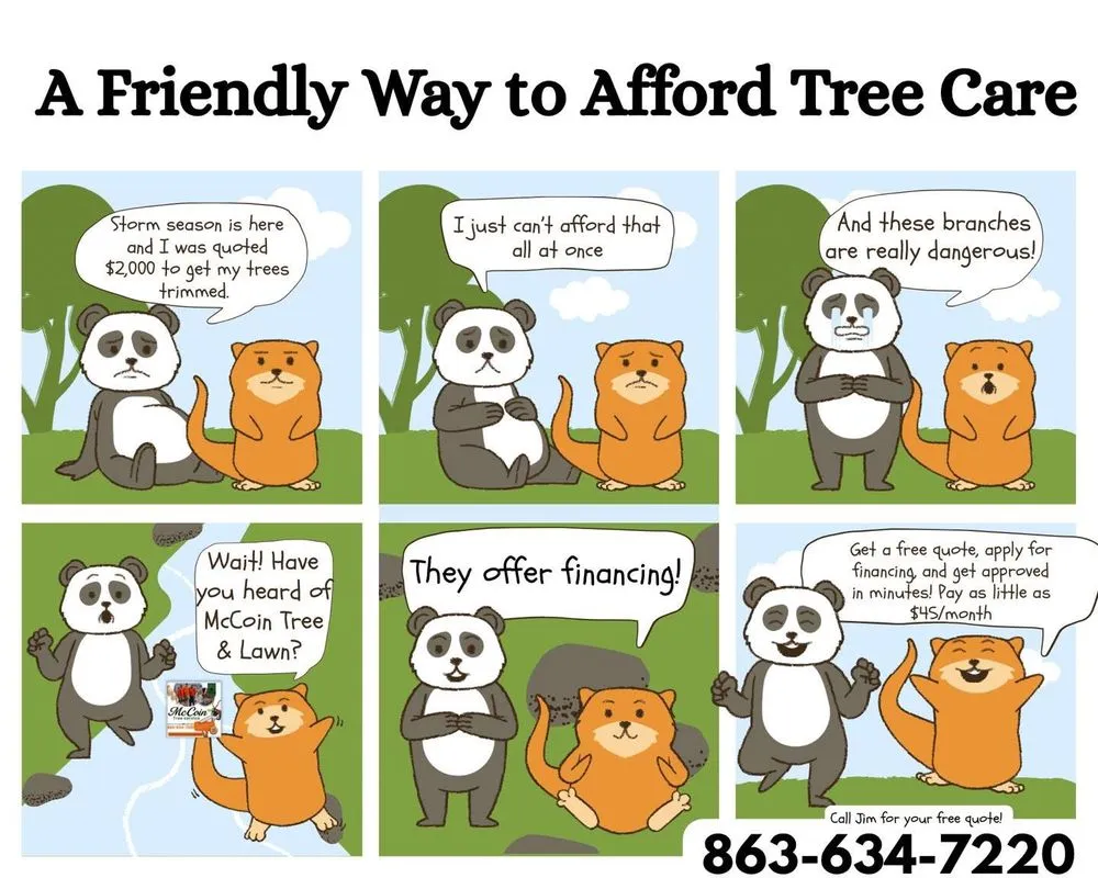 Top-rated landscape design with custom design in Okeechobee, FL by McCoin Tree & Lawn