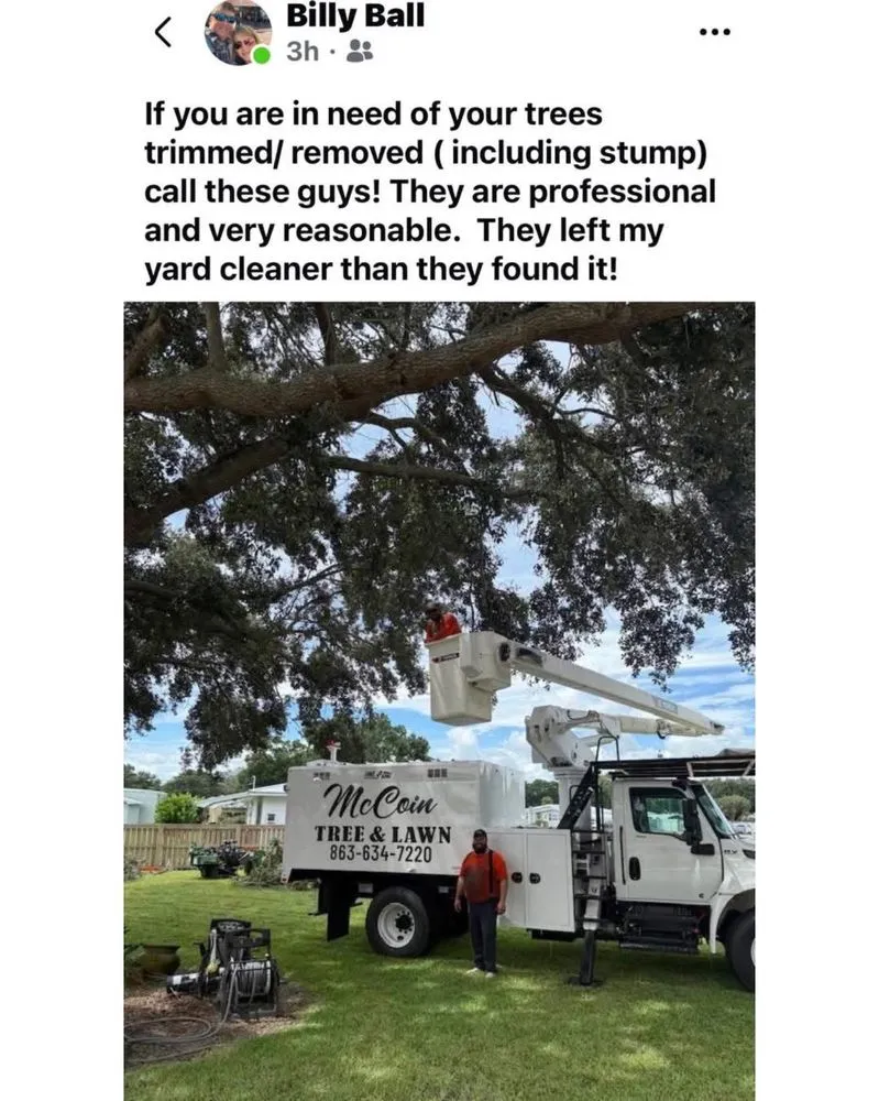 Trusted outdoor landscaping in Okeechobee, FL by McCoin Tree & Lawn