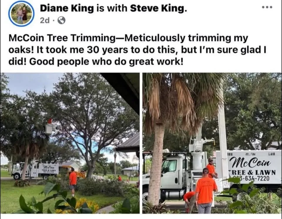 Trusted lawn care service in Okeechobee, FL by McCoin Tree & Lawn