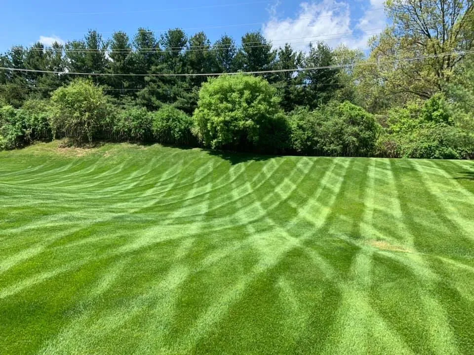 Top-rated yard maintenance for year-round maintenance across Acworth, GA - McCollum Landscaping