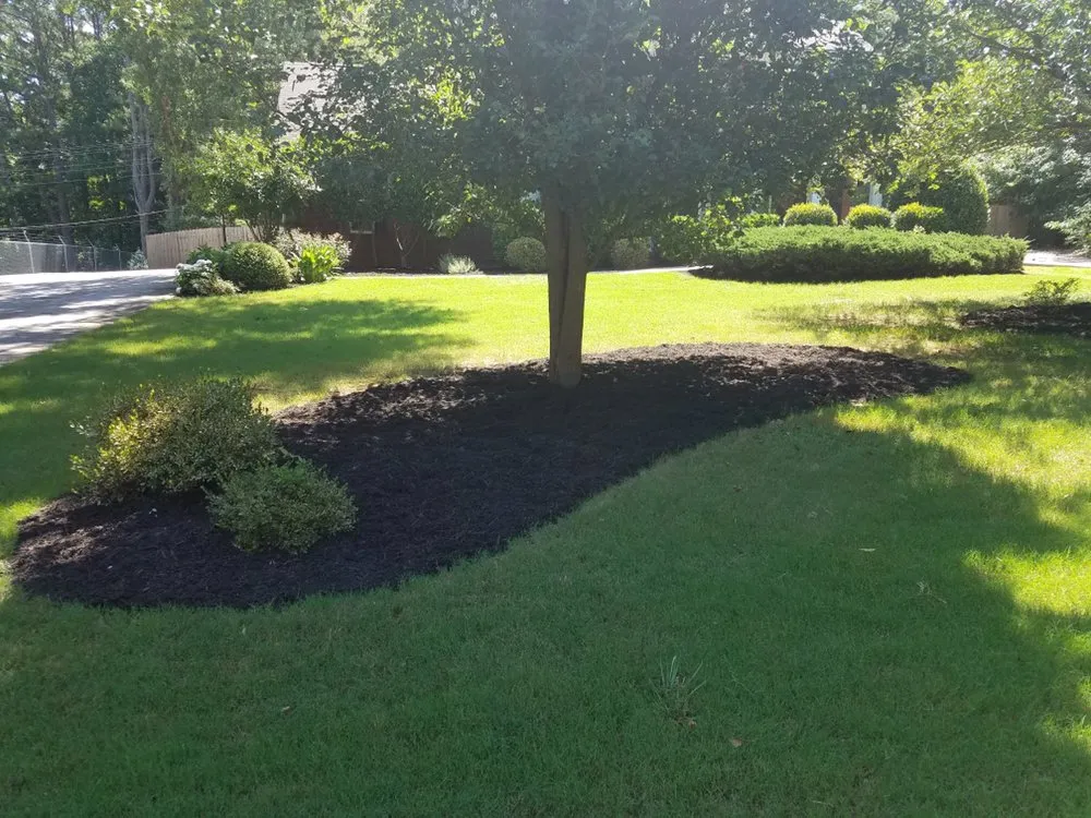 Professional yard cleanup service for beautiful yards across Acworth, GA - McCollum Landscaping