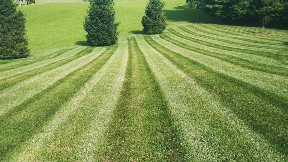Custom lawn care service for homes in Acworth, GA by McCollum Landscaping