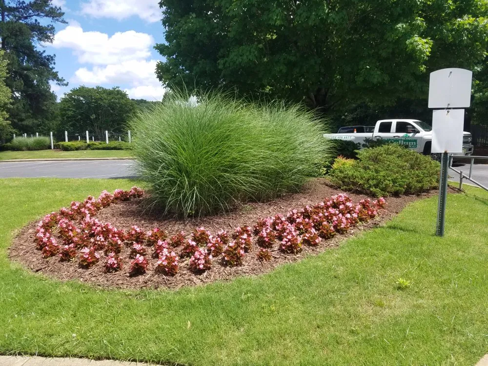 Expert yard cleanup service for homes in Acworth, GA by McCollum Landscaping