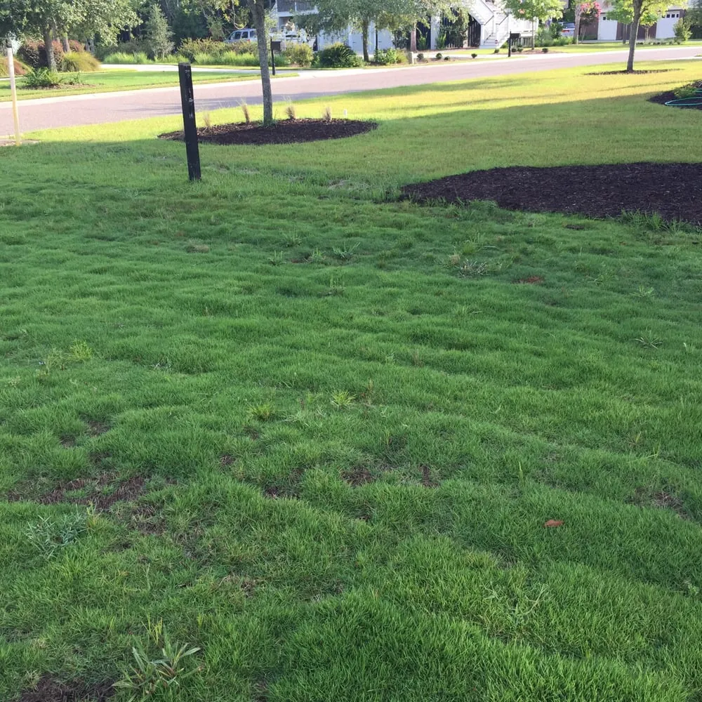 Custom lawn mowing service for outdoor upgrades in Charleston, SC by McComb Landscaping