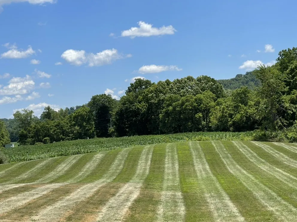 Custom landscape design in Cambridge, OH by McConkey’s Property Services