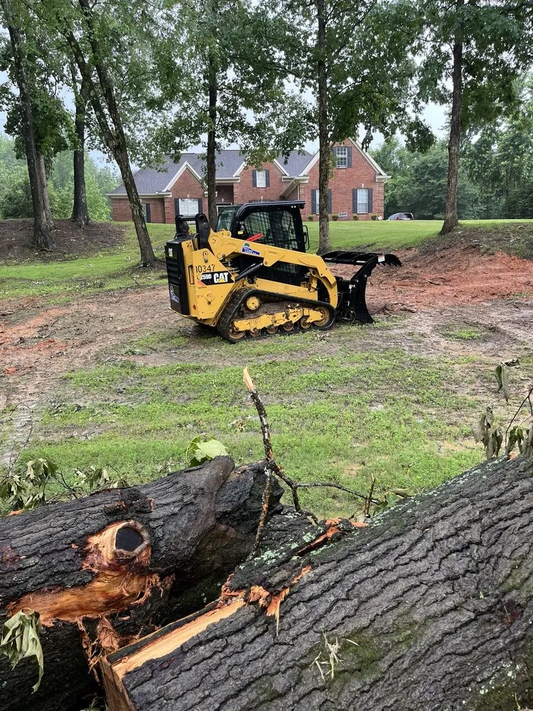 Affordable landscape installation with custom design across Hernando, MS - McConnell Curb Appeal